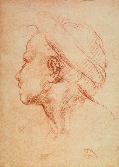 Hlava mládeže z profilu od Andrea del Sarto