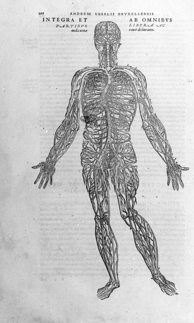 Andrea Vesalio (1514 - 1564), lékař Karla V od Andreas Vesalius