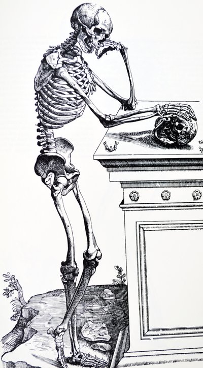 Lidská kostra s lebkou v ruce. Z "De Humani Corporis Fabrica" ​​od Vesalius. Možný řezač dřeva: Jan von Calcar od Andreas Vesalius