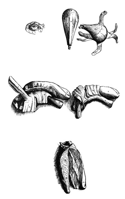 Desky z druhé knihy De Humani Corporis Fabrica od Andreas Vesalius