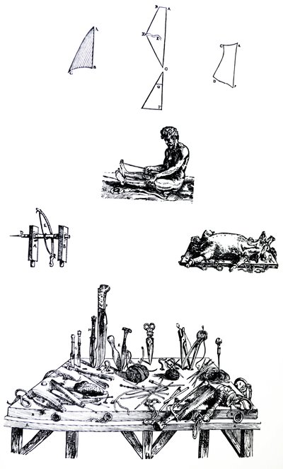 Desky z druhé knihy De Humani Corporis Fabrica od Andreas Vesalius