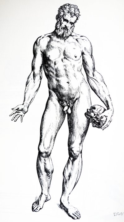 Desky ze sedmé knihy De Humani Corporis Fabrica od Andreas Vesalius
