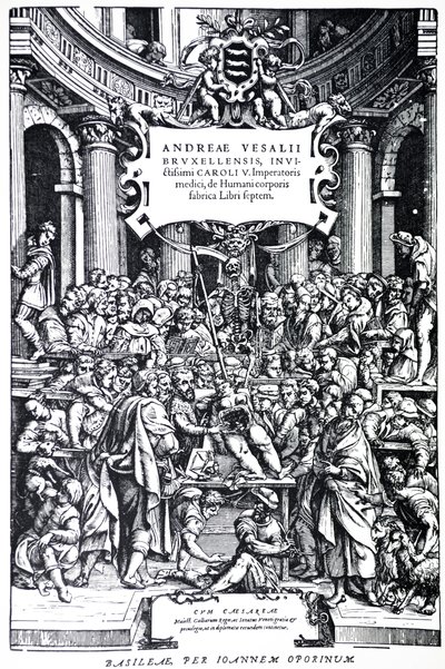 Titulní strana k druhému vydání De Humani Corporis Fabrica, deska 3, 1555 od Andreas Vesalius