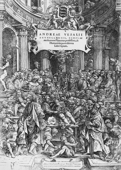 Titulní strana De humani corporis fabrica (latinsky Na tkanině lidského těla), kde je zobrazen Andreas Vesalius, jak pitvá mrtvolu od Andreas Vesalius