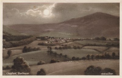 Chagford, Dartmoor (barevné foto) od Andrew Beer