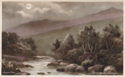 Dartmoor: Buckland Beacon (barevné foto) od Andrew Beer