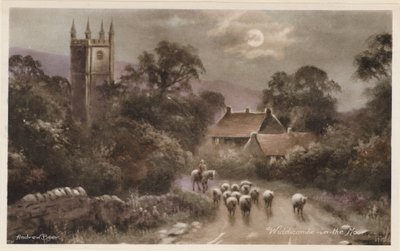 Dartmoor: (barevné foto) od Andrew Beer