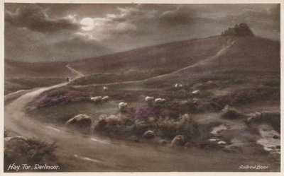 Hay Tor, Dartmoor (barevné foto) od Andrew Beer
