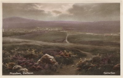 Princetown, Dartmoor (barevné foto) od Andrew Beer