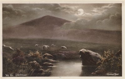 Yes Tor, Dartmoor (barevné foto) od Andrew Beer