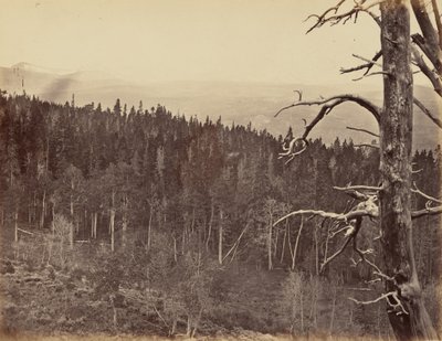Deska 13. Linie sněhu a dřeva, pohoří Laramie, 1869 (foto) od Andrew Joseph Russell