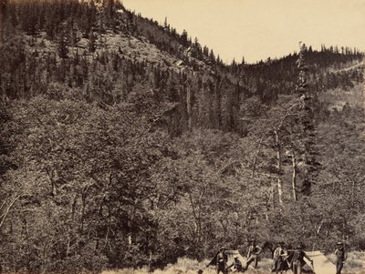 Tabulka 19. Mezi dřevem v horní části řeky Little Laramie, 1869 (foto) od Andrew Joseph Russell