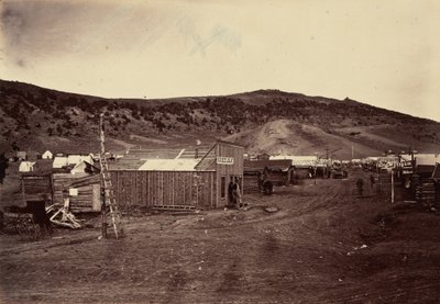 Deska 29. Město Bear River, poblíž uhelných polí, 1869 (foto) od Andrew Joseph Russell