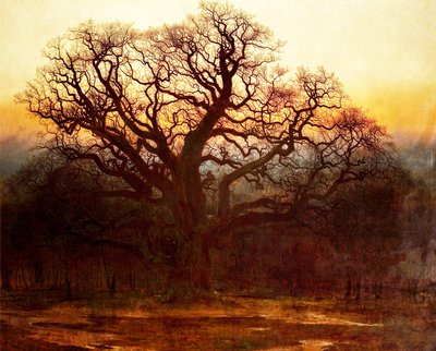 Major Oak, Sherwood Forest, Nottinghamshire, 1882 od Andrew MacCallum