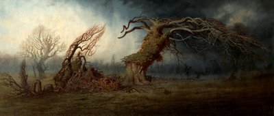 Odstřelený strom od Andrew MacCallum