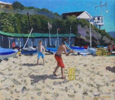 Cvrček a žluté pahýly, Abersoch od Andrew Macara