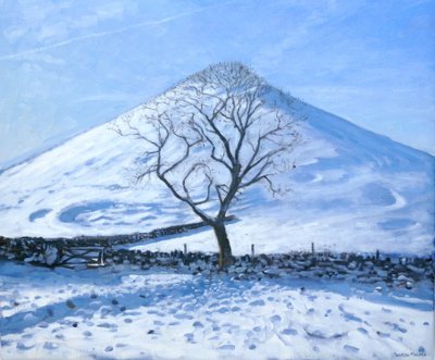 Hill and Tree, Derbyshire, 2008 od Andrew Macara