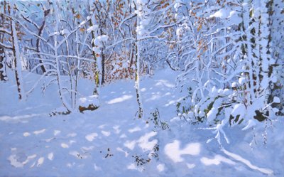 November Snow,Allestree Woods,Derby,(olej na plátně) od Andrew Macara