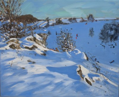Sledgers, Derbyshire, 2011 od Andrew Macara