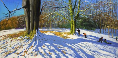 Top of Allestree Park, 2014 (olej na plátně) od Andrew Macara