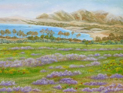 Zátoka Spring Meadow od Angeles M. Pomata
