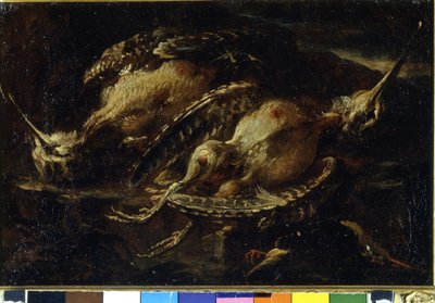 Zátiší ptáků. Obraz Angelo Maria Crivellone (? - 1730/60?). Milán, ČRA. od Angelo Maria Crivelli