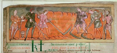 Cott Tib B V f.6v Harvesting, from a Calendar, c.1030 (vellum) (detail of 41681) od Anglo Saxon