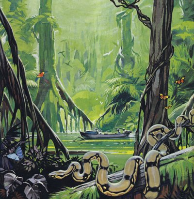 Průzkum řeky Amazonky (barevná litografie) od Angus McBride