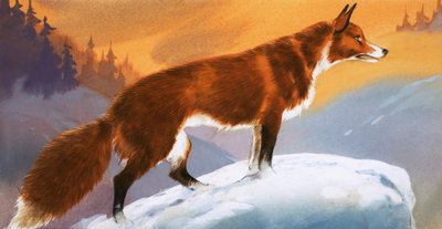Liška na sněhu od Angus McBride
