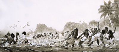Domorodci z Karibiku loví ryby v mořích pomocí sítí. od Angus McBride