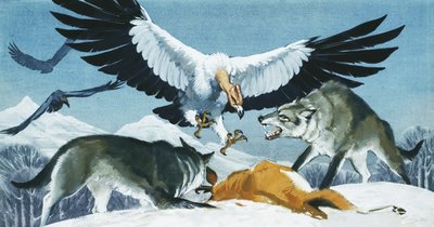Teratornis od Angus McBride