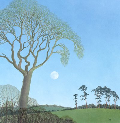 Early Moon, 2007 od Anna Phillips