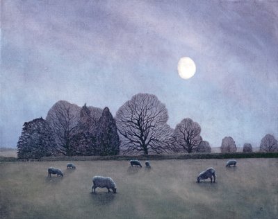 Měsíční noc, 2004 od Anna Phillips