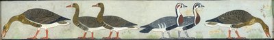 Kopie nástěnné malby z Mastaba of Itet, Medum IV, 93-94 husy, 20. století od Anna