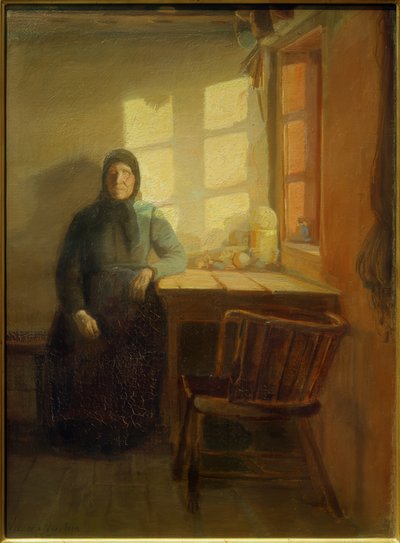 Slepý na slunci od Anna Ancher