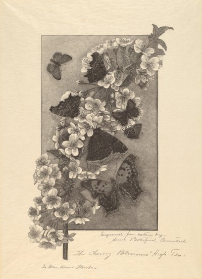The Cherry Blossoms - High Tea od Anna Botsford Comstock