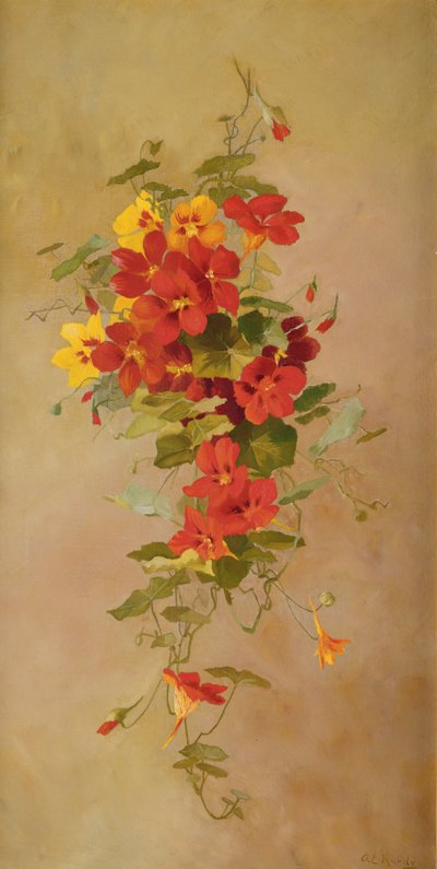 Nasturtiums od Anna Eliza Hardy