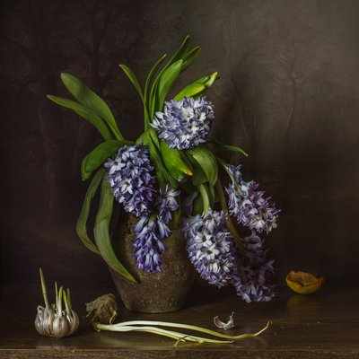 Venkovské hyacinty a česnek od Anna Petina
