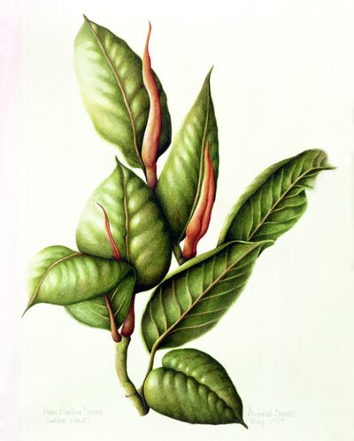Gumárenský závod, 1999 (wc na papíře) od Annabel Barrett