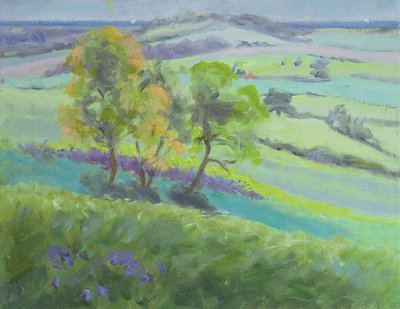 Směrem k Winchelsea, Sussex, se zvonky na jaře od Anne Durham