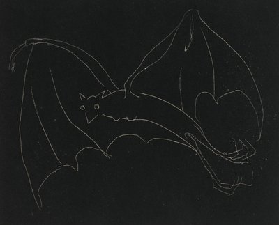 Night Series: The Bat (lept, bílá čára na tkaném papíře) od Anne Goldthwaite