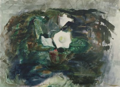 Bílá gloxinie od Anne Redpath