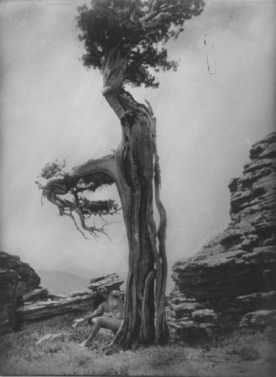Bez názvu (Nahá na úpatí cedru) od Anne W. Brigman