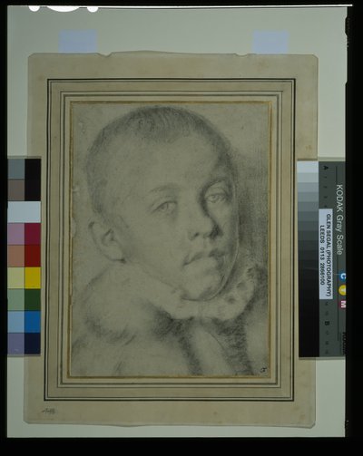 Portrét hlavy mladého chlapce (černá křída a dřevěné uhlí na papíře) od Annibale (follower of) Carracci
