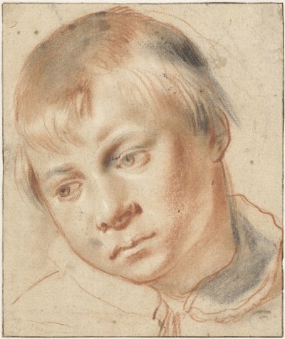 Studie chlapecké hlavy Studie hlavy chlapce od Annibale Carracci (attributed to)