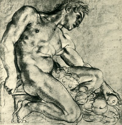 Sedící Ignudo s girlandou, 1598-1599, 1943. od Annibale Carracci