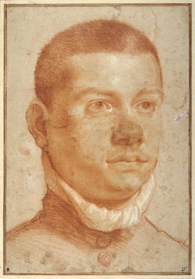 Portrét-hlava mladého muže (červená křída) od Annibale Carracci