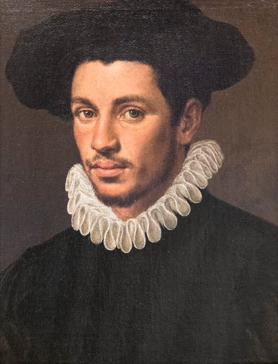 Nuoren miehen muotokuva od Annibale Carracci