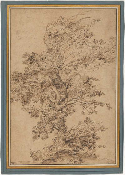 Studie stromu od Annibale Carracci