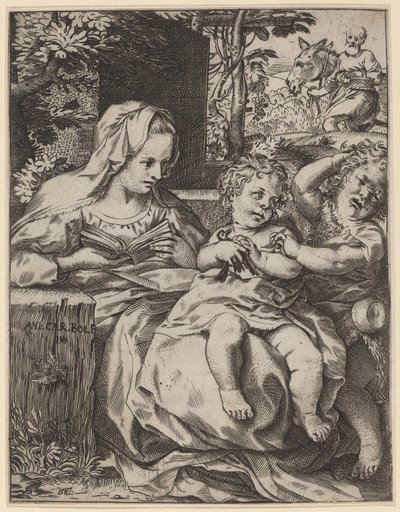 Madonna z vlaštovky od Annibale Carracci